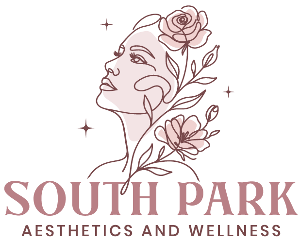 south park aesthetics logo